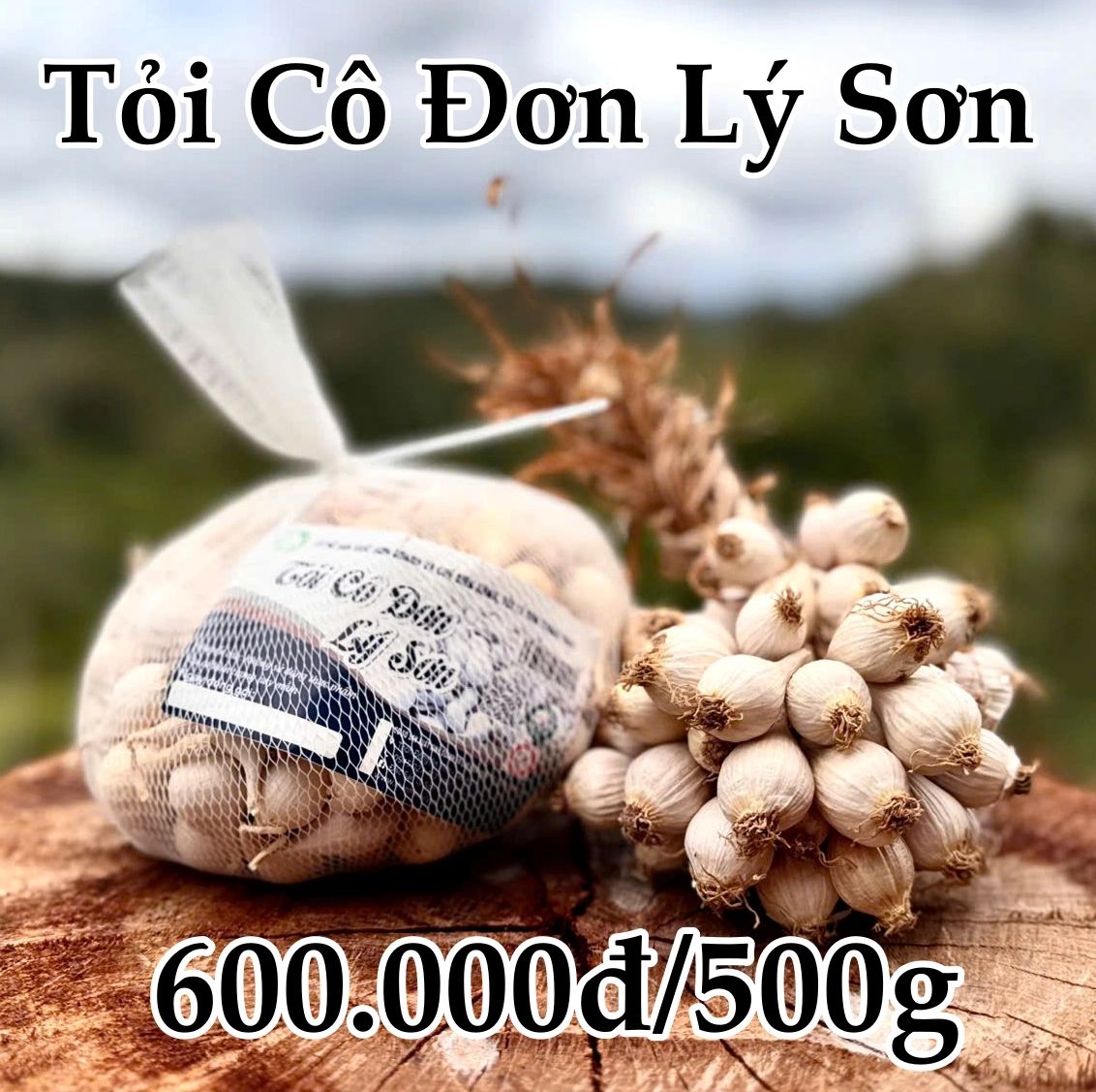  Tỏi cô đơn Lý Sơn 500G 