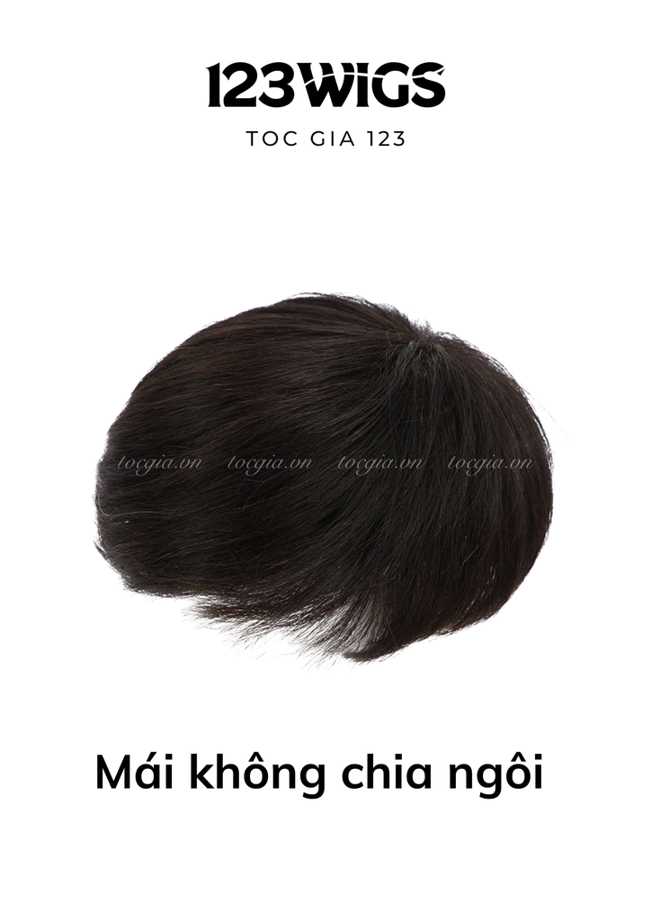 Mái phủ đỉnh nam tóc thật che phủ đỉnh đầu, che hói, bạc 2 kiểu dáng 11175