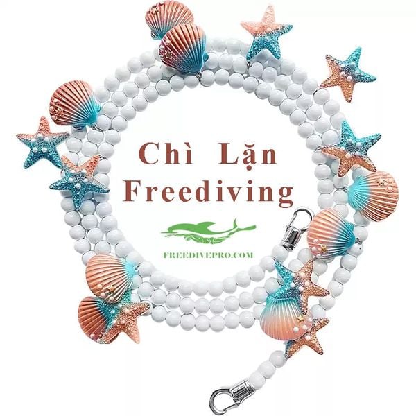 Chì lặn freedive trang sức sao biển vỏ sò