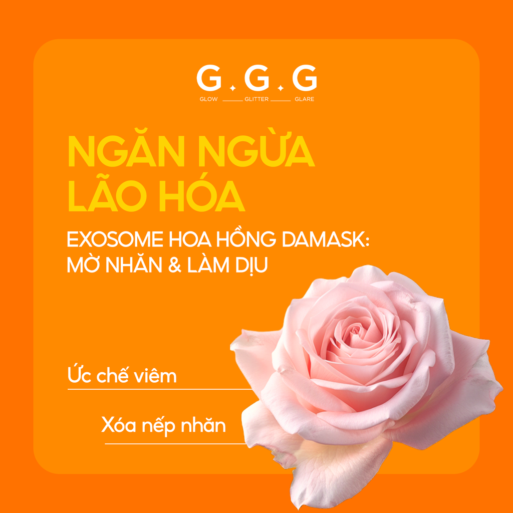 Booster Nấm Chaga, Tinh Chất Ampoule Cấp Ẩm Sâu Làm Dịu & Phục Hồi Da Tức Thì - GGG Uniq Booster Chaga 50ml