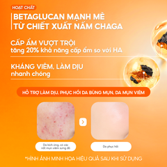 Booster Nấm Chaga, Tinh Chất Ampoule Cấp Ẩm Sâu Làm Dịu & Phục Hồi Da Tức Thì - GGG Uniq Booster Chaga 50ml