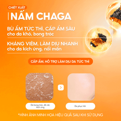 Toner Nấm Chaga Không Cồn Hỗ Trợ Cấp ẩm Dịu Da - G.G.G Calming Mushroom Toner 200ml