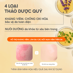 Toner Nấm Chaga Không Cồn Hỗ Trợ Cấp ẩm Dịu Da - G.G.G Calming Mushroom Toner 200ml