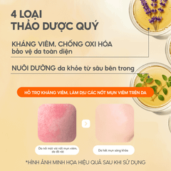 [MINI] Toner Nấm Chaga Không Cồn Hỗ Trợ Cấp ẩm Dịu Da - G.G.G Calming Mushroom Toner 50ml