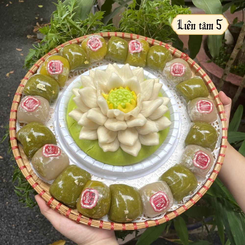 LIÊN TÂM 5