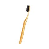 [MUA 2 TẶNG 1] DBO0034 - Bộ 02 bàn chải người lớn Carbon tặng 01 bàn chải Carbon