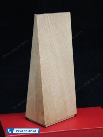  KỶ NIỆM CHƯƠNG NINA NGUYEN 