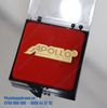 Huy Hiệu Đúc Apollo