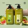 Combo dầu gội xả BƠ BƯỞI - dành cho tóc gãy rụng - HACHI VIETNAM ®