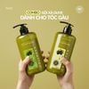Combo dầu gội xả OLIVE - dành cho tóc gàu - HACHI VIETNAM ®