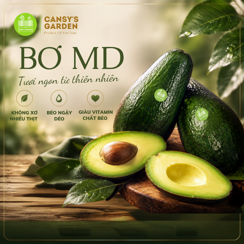 Bơ MD