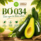 Bơ 034