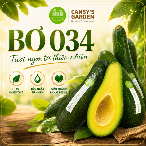 Bơ 034