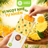 Hộp 180gr - Vị Truyền Thống Dứa Sấy Dẻo
