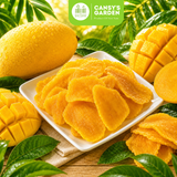 Hộp 180gr - Vị Truyền Thống Xoài Sấy Dẻo