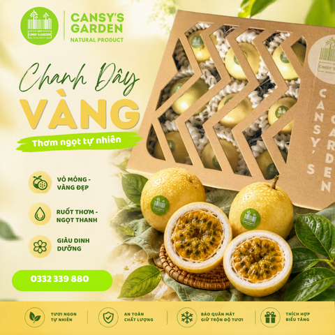 Chanh Dây Hoàng Kim