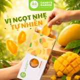 Hộp 180gr - Vị Truyền Thống Xoài Sấy Dẻo