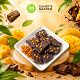 Hộp 50gr - Xoài Sấy Phủ Socola