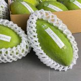 Xoài Hòa Lộc 3KG