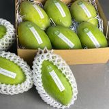 Xoài Hòa Lộc 3KG