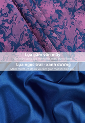 Set áo dài cách tân nữ Econice Cẩm Vân