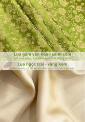 Set áo dài cách tân nữ Econice Thanh Diệp