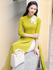 Set áo dài nữ truyền thống đính kết Liễu Như