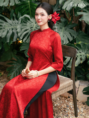 Set áo dài cách tân nữ Econice Tiêu Dung 2