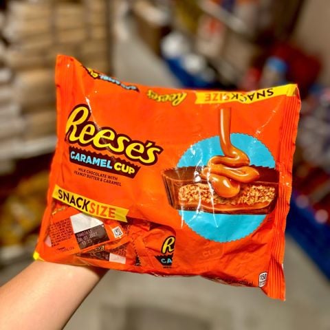 Reese's Caramel Milk Chocolate Peanut Butter Cups - Snack Size 9.9 oz bag