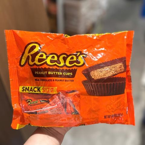 Reese's Peanut Butter Cups Snack Size 297g