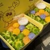 Set 4 (6 Bò Rễ/ 6 Da Lợn)