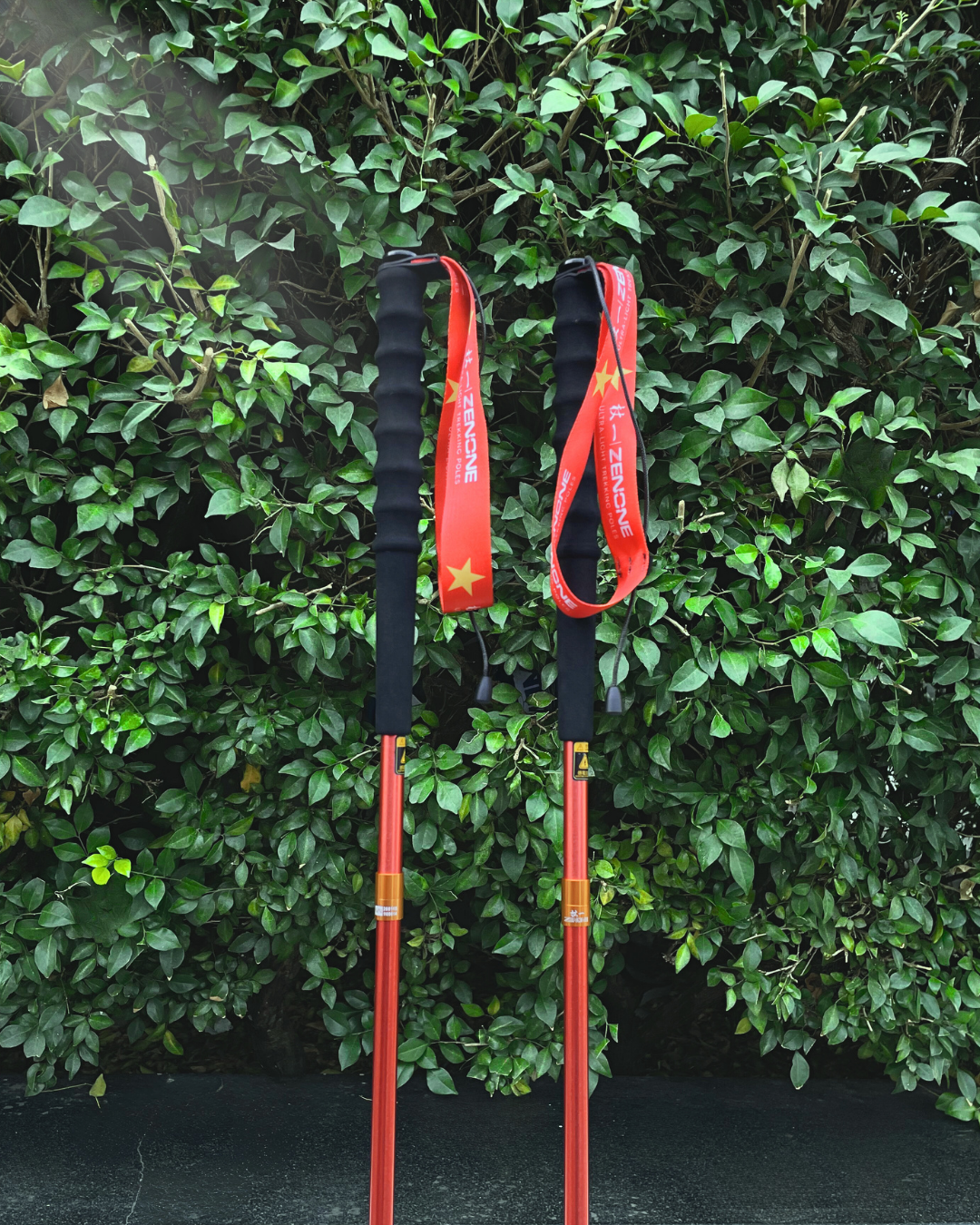  Gậy leo núi chạy trail Zenone Z1901VN Special Edition - Hợp Kim Nhôm 