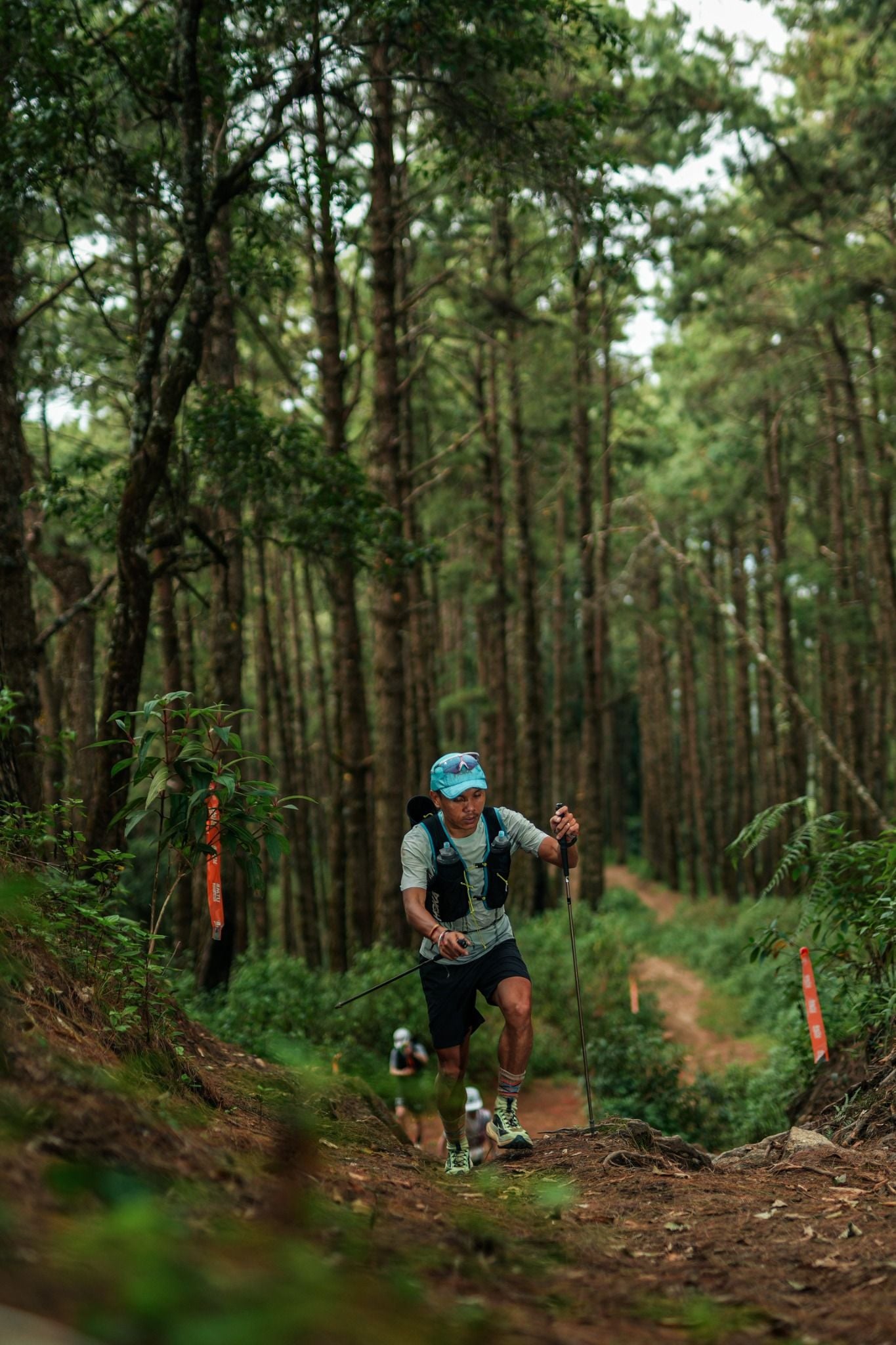  Gậy leo núi chạy trail siêu nhẹ Zenone Z2401 full carbon - Black Gold 