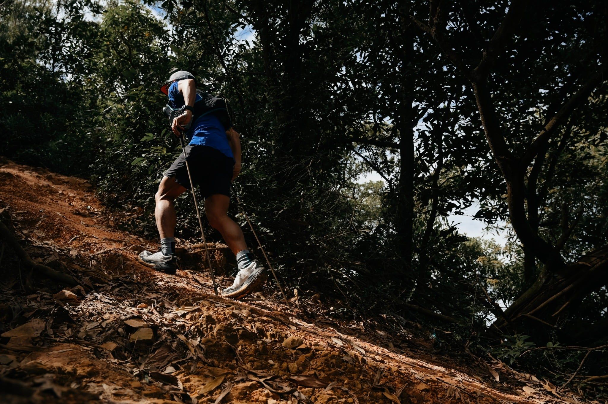  Gậy leo núi chạy trail siêu nhẹ Zenone Z2401 full carbon - Black Gold 