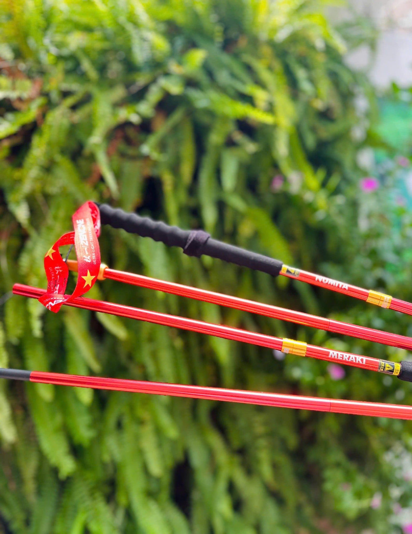  Gậy leo núi chạy trail Zenone Z1901VN Special Edition - Hợp Kim Nhôm 