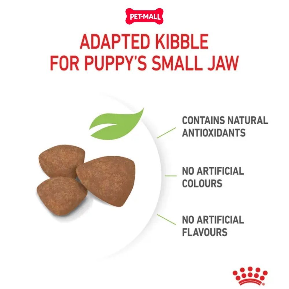 Set quà RC - 8KG Mini Puppy Thức ăn chó tặng 1 hộp Pate Mini Puppy 85g Petmall