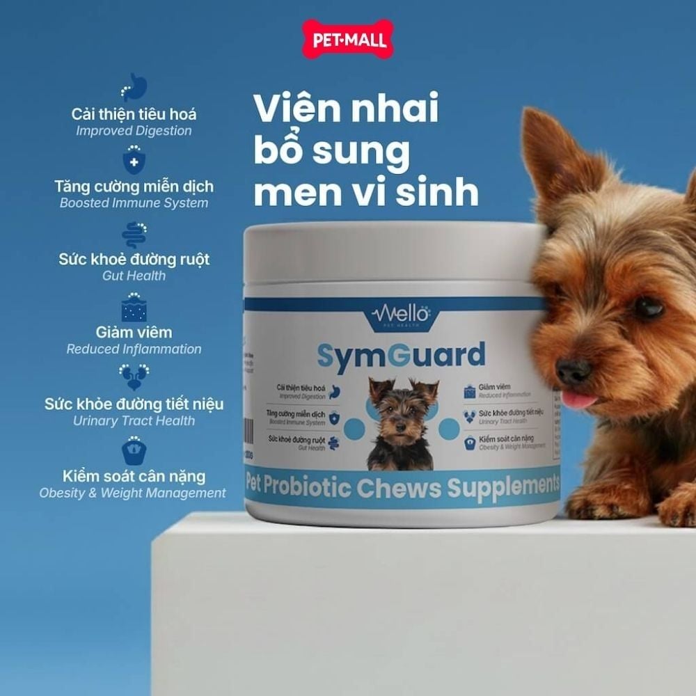 Viên nhai hỗ trợ dị ứng Wello CatGuard Allergy Chew - Giảm căng thẳng Petmall