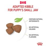 Set quà RC - 800g Mini Puppy Thức ăn chó tặng 1 gói Pate Mini Puppy 85g Petmall