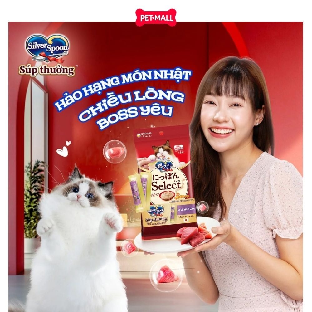 Treats mèo Silver Spoon súp thưởng dạng thanh size Mini từ Nhật Bản