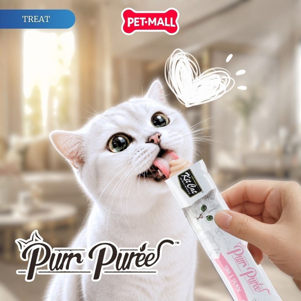 Treats KitCat Purr Puree 75g Petmall