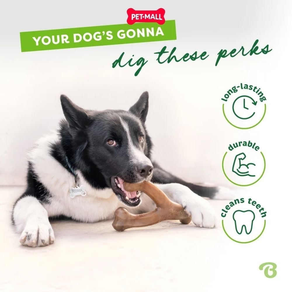 Đồ chơi xương gặm BENEBONE Wishbone Size M - Cho chó < 27kg Petmall
