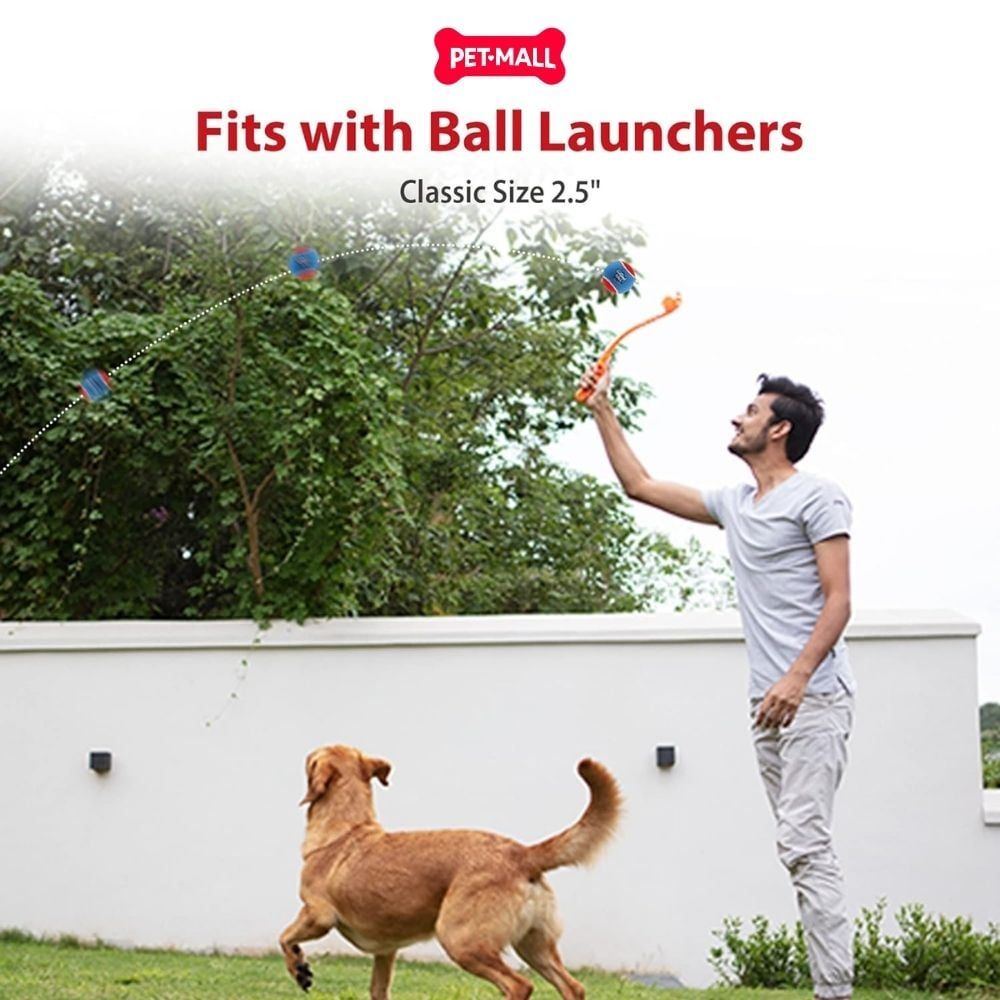 Đồ chơi GiGwi Ball Originals Tennis Ball for dog - size S Petmall