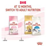 Set quà RC - 2KG Mother & Babycat Thức ăn mèo tặng 2 gói Pate Kitten 85g Petmall