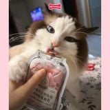 Combo 8 gói 35G - Pate thịt thật CATIDEA Superior cat food with Krill Oil Petmall