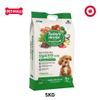  5KG - Thức ăn chó Today's Dinner Healthy Skin & Coat All Stages Dog - Hỗ trợ dưỡng lông cho chó mọi lứa tuổi Petmall 