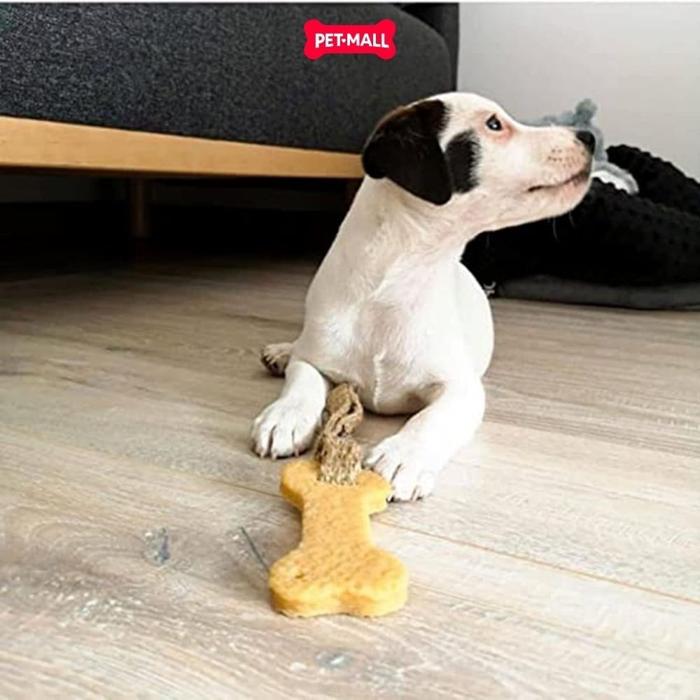 Đồ chơi nhai gặm GiGwi Gum Gum for Dog - Con Voi Elephant Petmall