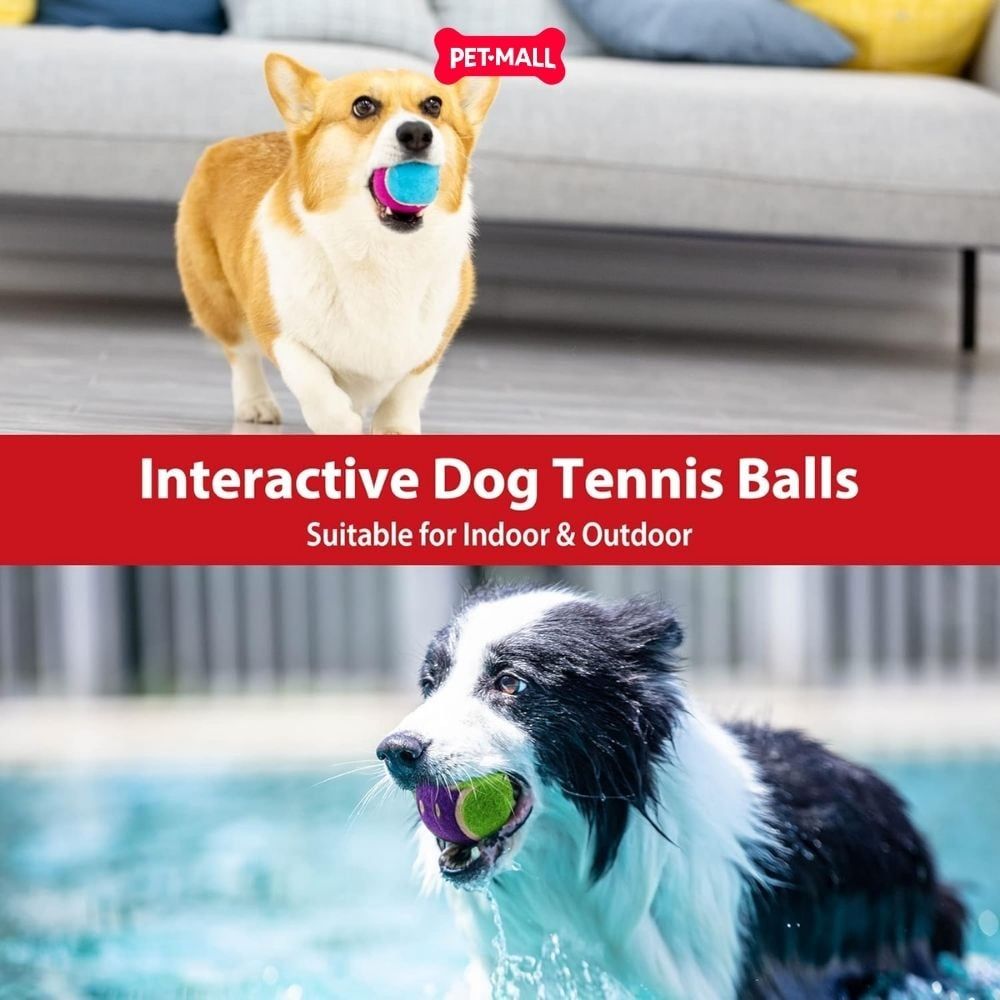 Đồ chơi GiGwi Ball Originals Tennis Ball for dog - size S Petmall