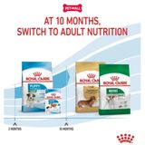 Set quà RC - 800g Mini Puppy Thức ăn chó tặng 1 gói Pate Mini Puppy 85g Petmall