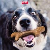 Đồ chơi nhai gặm GiGwi Nylon Wooden Antler Chew Toy - Sừng nai gỗ size L Petmall