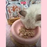 Combo 8 gói 35G - Pate thịt thật CATIDEA Superior cat food with Krill Oil Petmall